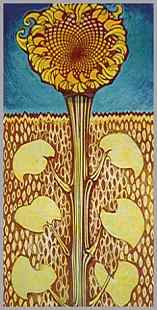 Eileen Mayo: Sunflower