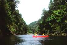 wanganui river